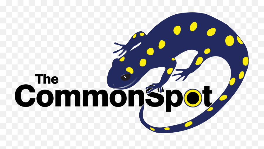 The Commonspot Png Salamander Icon