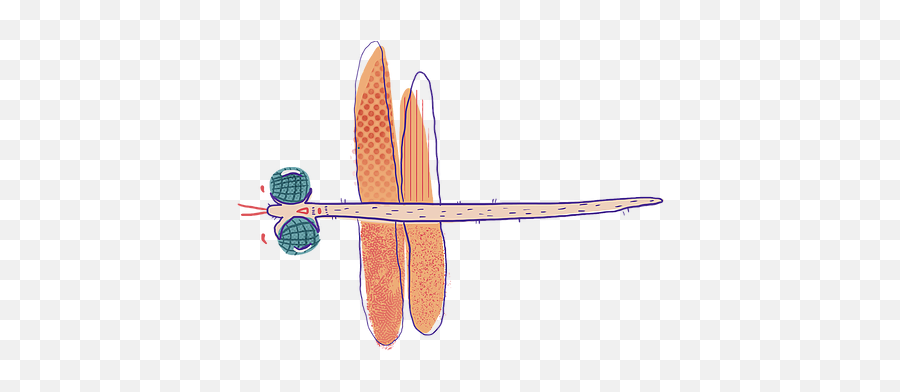 Dragonfly Quest Insectling Challenge - Dragonfly Png,Dragonfly Png