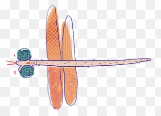 Dragonfly Quest Insectling Challenge - Dragonfly Png,Dragonfly Png