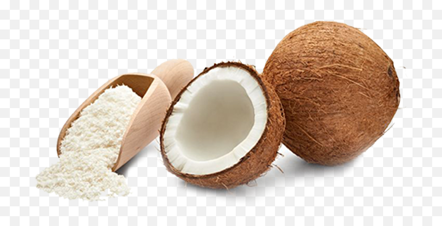 Desiccated Coconut Powder Fine And Medium Grade - Coconut Powder Png,Coconut Png