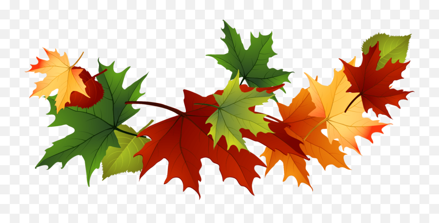Maple Leaf Garland Transparent Png - Stickpng Autumn Leaves Clip Art,Garland Png