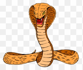 King Cobra Pictures And Images In - Clipart png