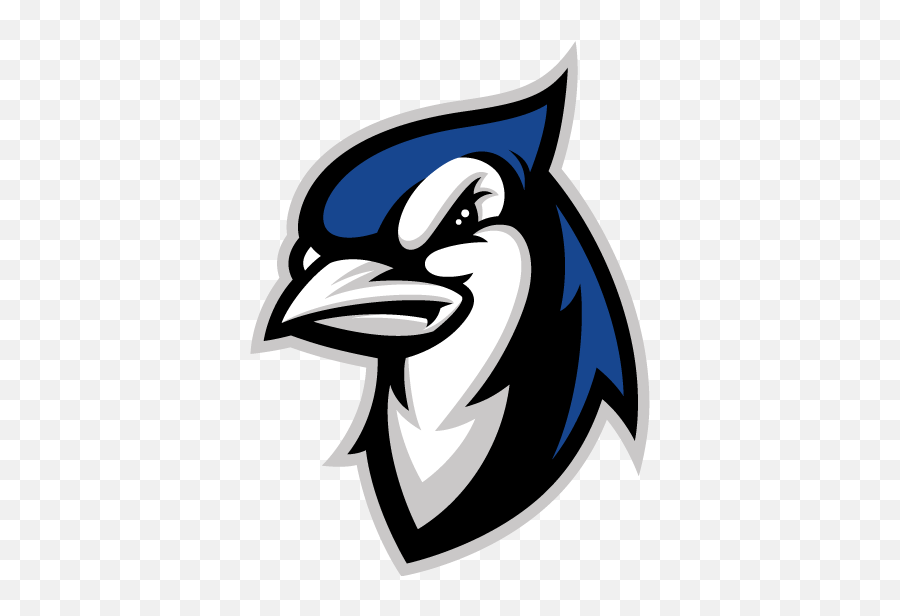 Blue Jay Vector - Elizabethtown College Blue Jays Png,Blue Jay Png
