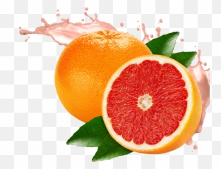 Grapefruit Png - Orange And Grapefruit Png,Grapefruit Png