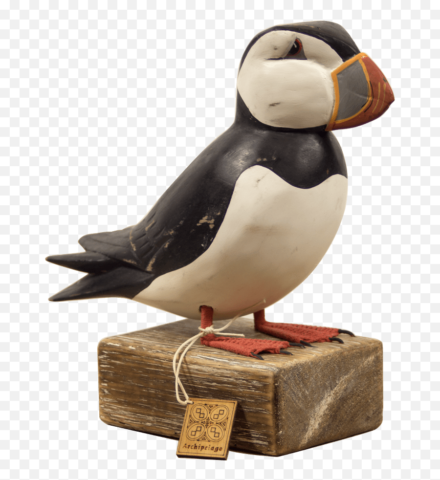 Puffin Standing - Atlantic Puffin Png,Puffin Png