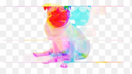 Transparent Glitch Pug - Perro De Men In Black Png,Pug Png