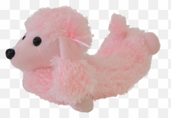 Poodle Png - Chloenoel,Poodle Png