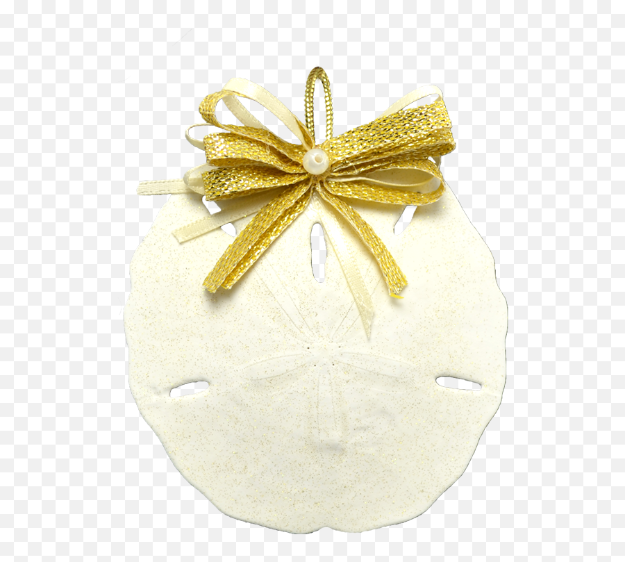 Sand Dollar Christmas Holidays Ornament - Insect Png,Sand Dollar Png
