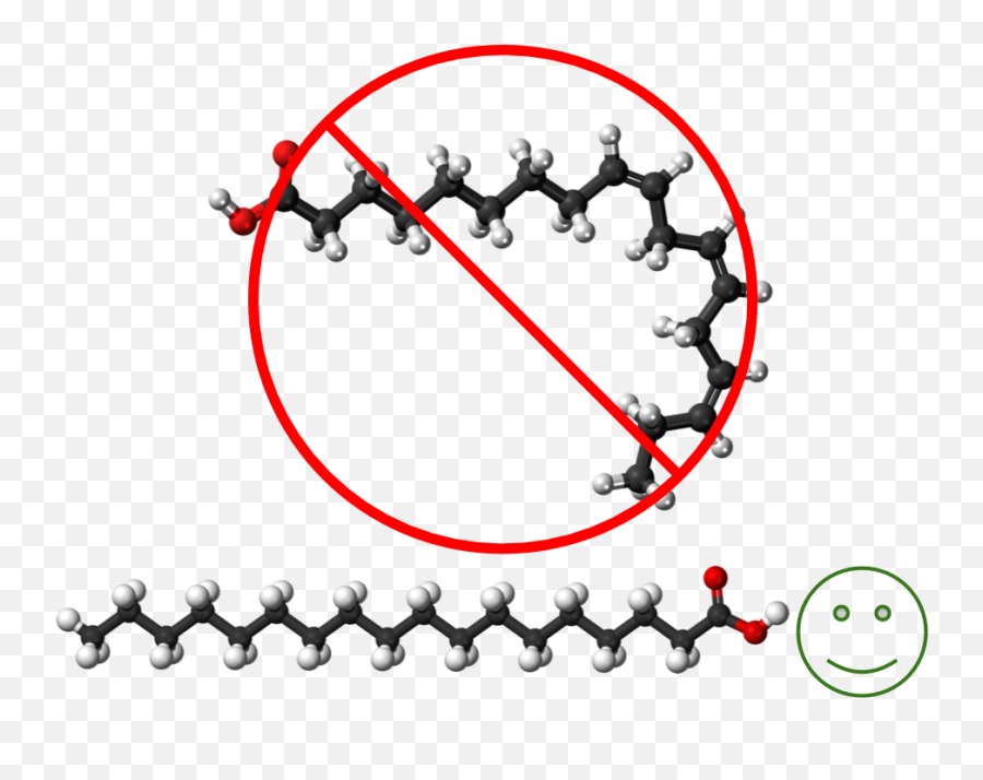 Mitochondria Biogensis Anti Png