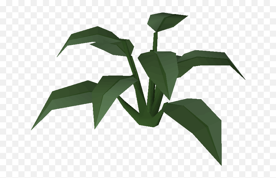 Large Leaf Bush - Illustration Png,Bush Plant Png