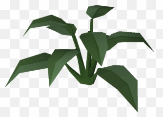 Large Leaf Bush - Illustration png
