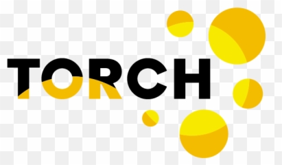 Torch - The Data Lab Oil png