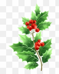 Transparent Png Christmas Mistletoe