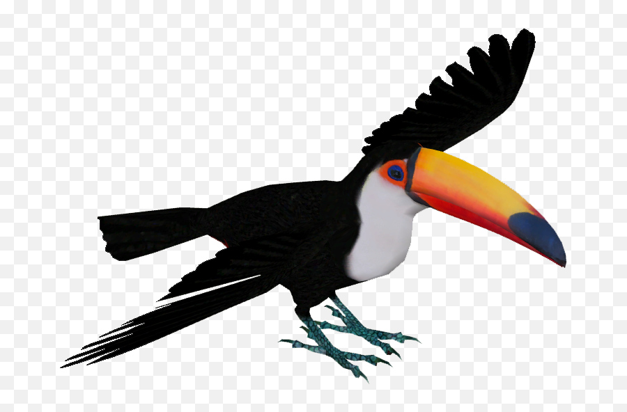 Toucan Png - Toco Toucan Png,Toucan Png