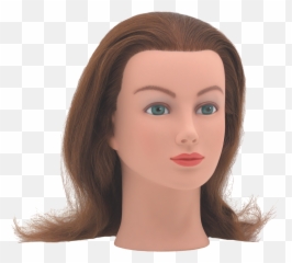 Ms Barbara - Mannequin Female Head Png,Mannequin Head Png