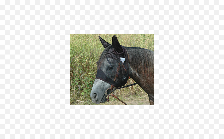 Masks - Fly And Sun Protection For Your Horse Cashel Quiet Ride Fly Mask Png,Horse Mask Png