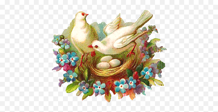 Antique Images Free Digital Bird Graphic 2 Doves In - Bird Nest Png,Nest Png