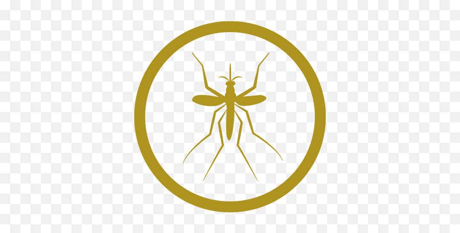 Twin Falls County Pest Abatement District - Parasitism Png,Mosquito Icon
