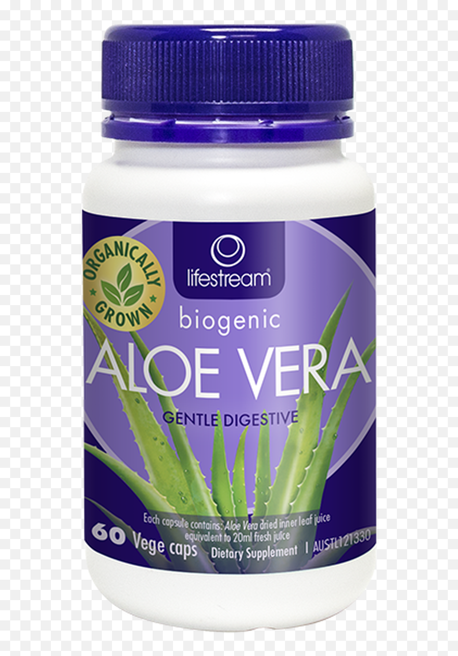 Lifestream Aloe Vera Capsules - 60 Capsules Orris Root Png,Aloe Vera Plant Png