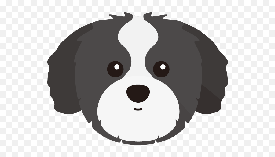 Personalised Shih Tzu Dog Bowls Yappycom - Transparent Shih Tzu Cartoon Png,Pet Bowl Icon