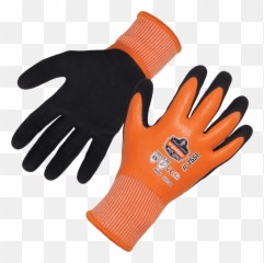 Coated Waterproof Winter Work Gloves - A5 Ergodyne Safety png