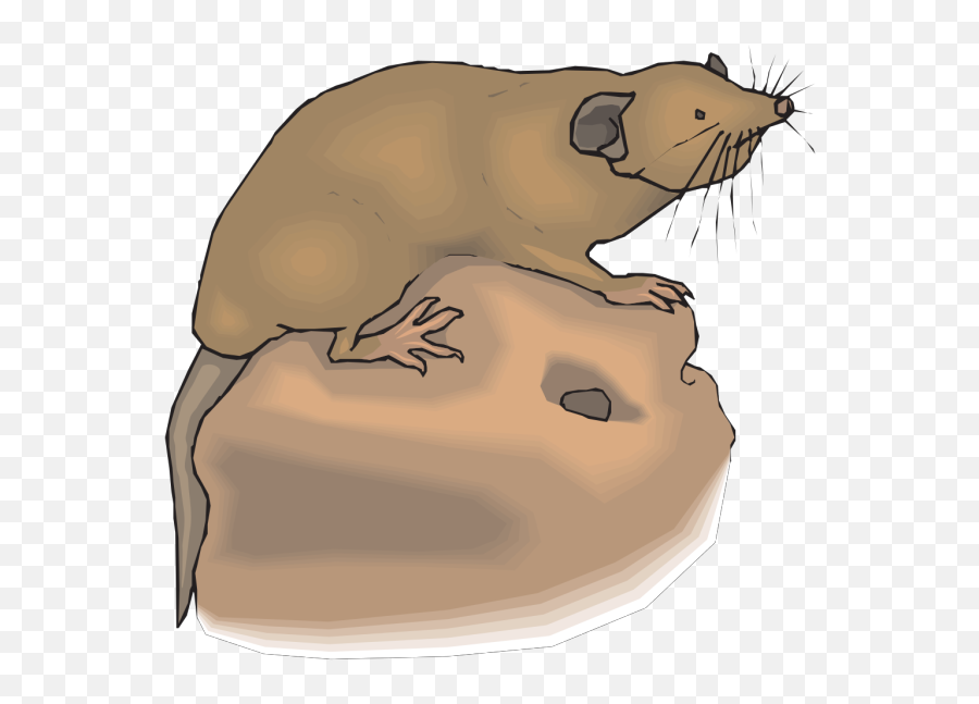 Mole Aboveground Png Svg Clip Art For Web - Download Clip Clip Art,Mole Icon