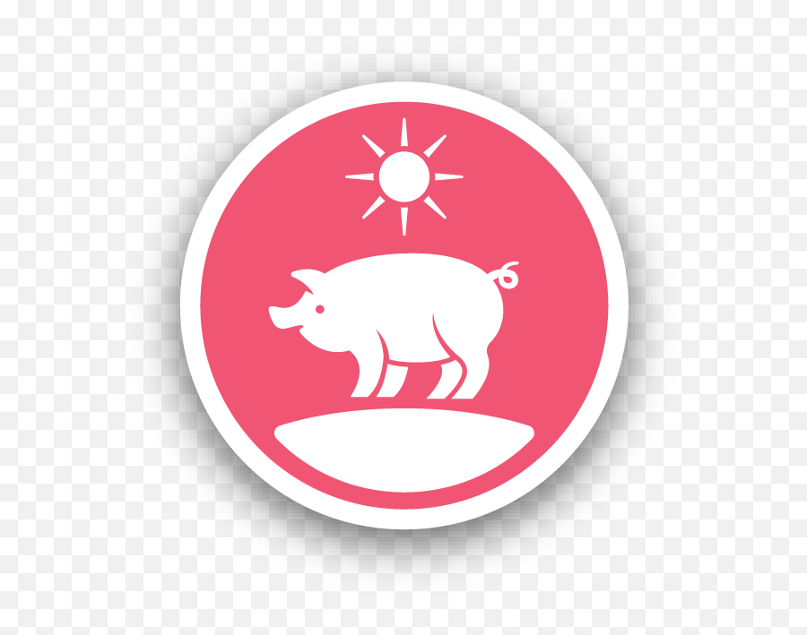 Virtual Tour Australian Pork - Domestic Pig Png,Pork Icon