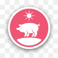 Virtual Tour Australian Pork - Domestic Pig png