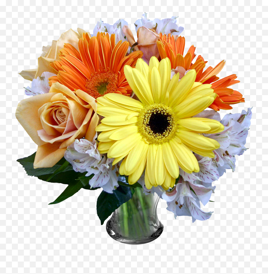 White Library Bouquet Transparent Daisy - Good Evening My Friend Png,Transparent Daisy