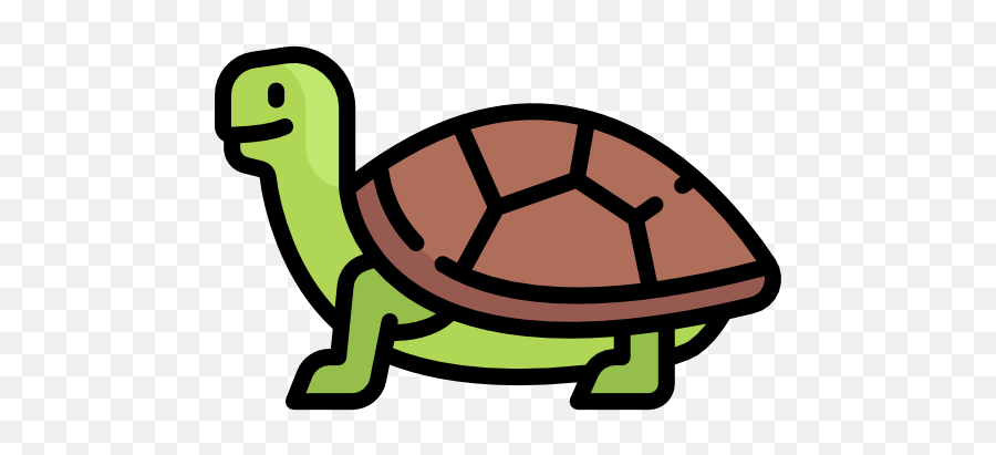 Turtle - Free Animals Icons Caricatura Imágenes De Tortuga Png,Turtle Icon Png