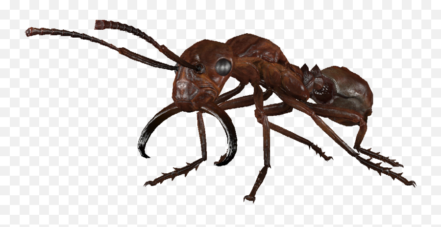 Fallout - Fallout Ant Png,Ant Png