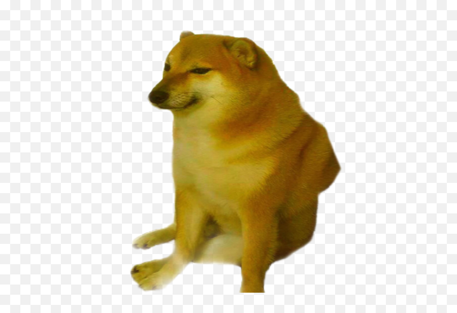 Trending Doge Stickers - Doge Meme Template Png,Doge Transparent Background