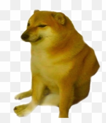 Trending Doge Stickers - Meme Template png