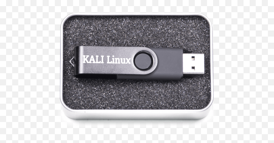 How To Install Kali Linux - Youprogrammer Usb Live Kali Da Uefi Png,Kali Linux Logo Png