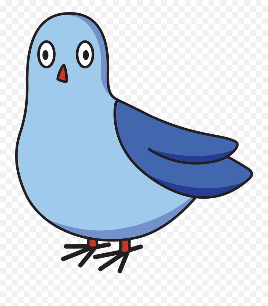 Pigeon Cartoon Bird - Free Vector Graphic On Pixabay Transparent Pigeon Cartoon Png,Pigeon Png