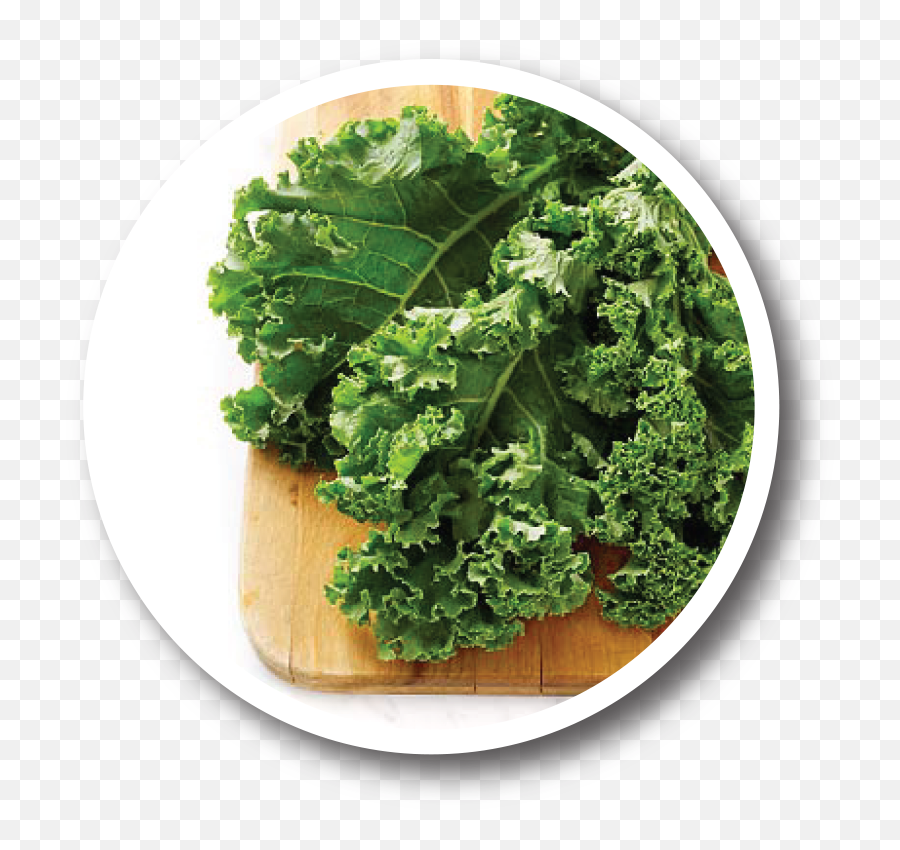 Health Benefits Of Kale - Prefer My Kale With A Silent K Png,Kale Png