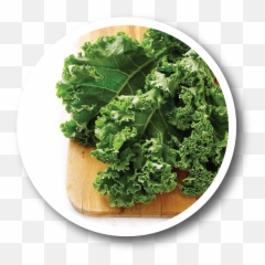 Health Benefits Of Kale - Prefer My Kale With A Silent K Png,Kale Png