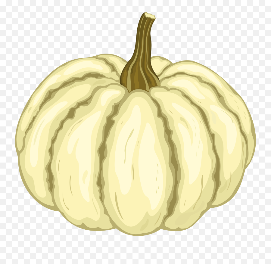 Transparent White Pumpkin Clipart Png Gourd
