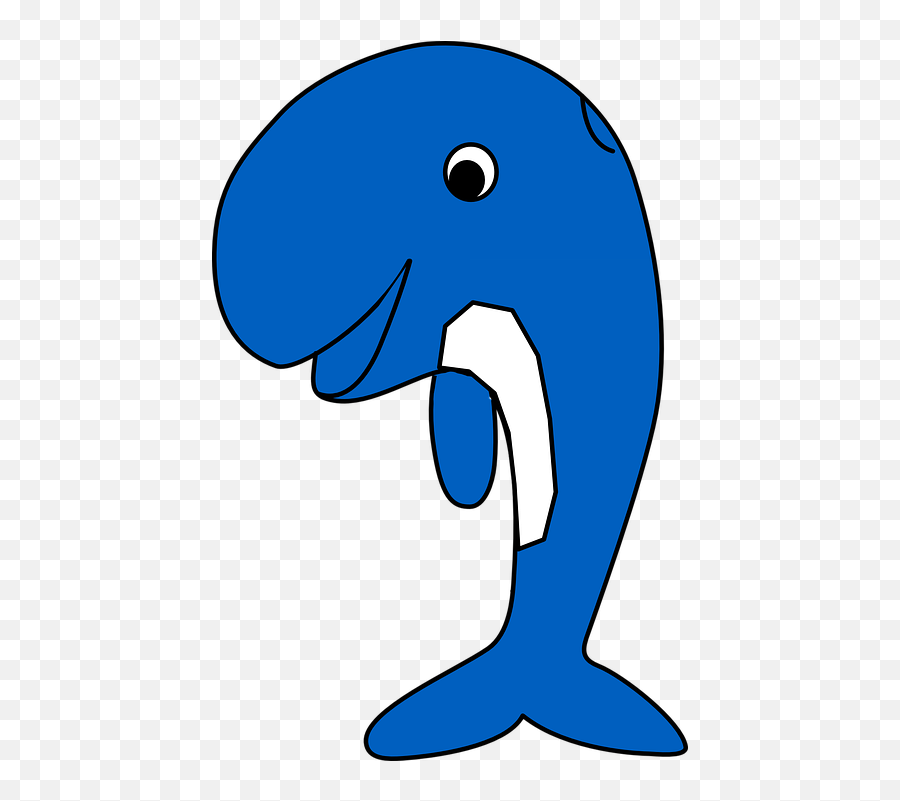 Whale Dolphin Leaping - Free Vector Graphic On Pixabay Color Blue Whale Clip Art Png,Whale Clipart Png