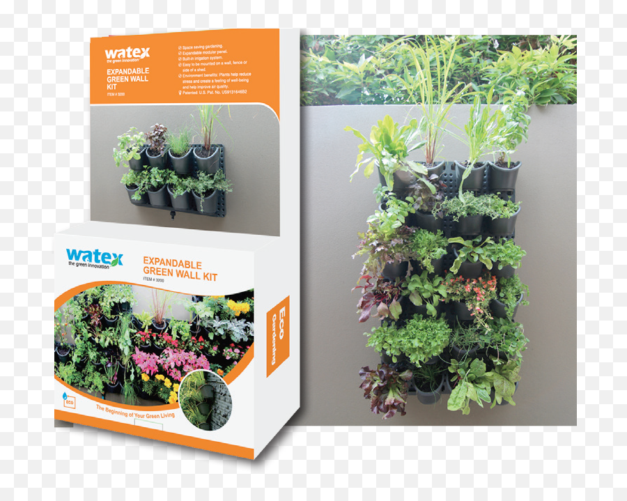 Green Wall Vertical Garden System Png