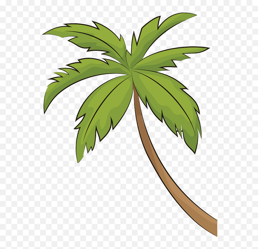 Palm Tree Clipart Free Download Transparent Png Creazilla - Palm Tree Clipart,Palm Plant Png