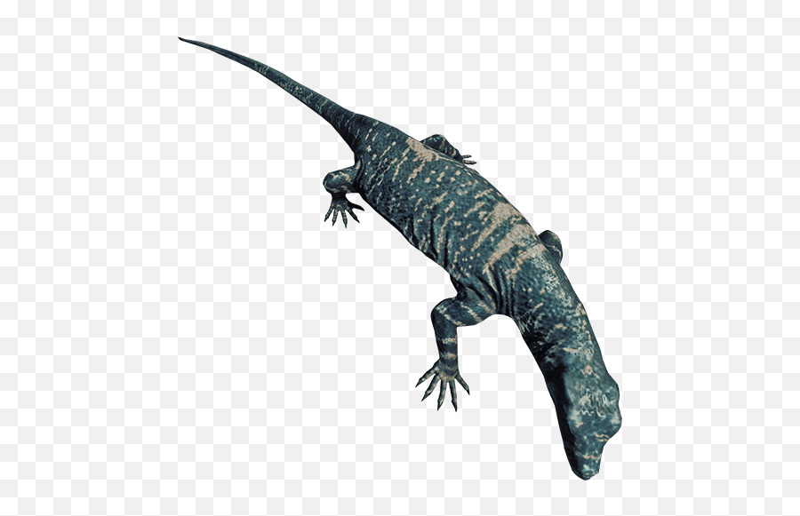 Lizard - Forest Lizard Png,Lizard Png