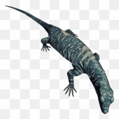 Lizard - Forest png