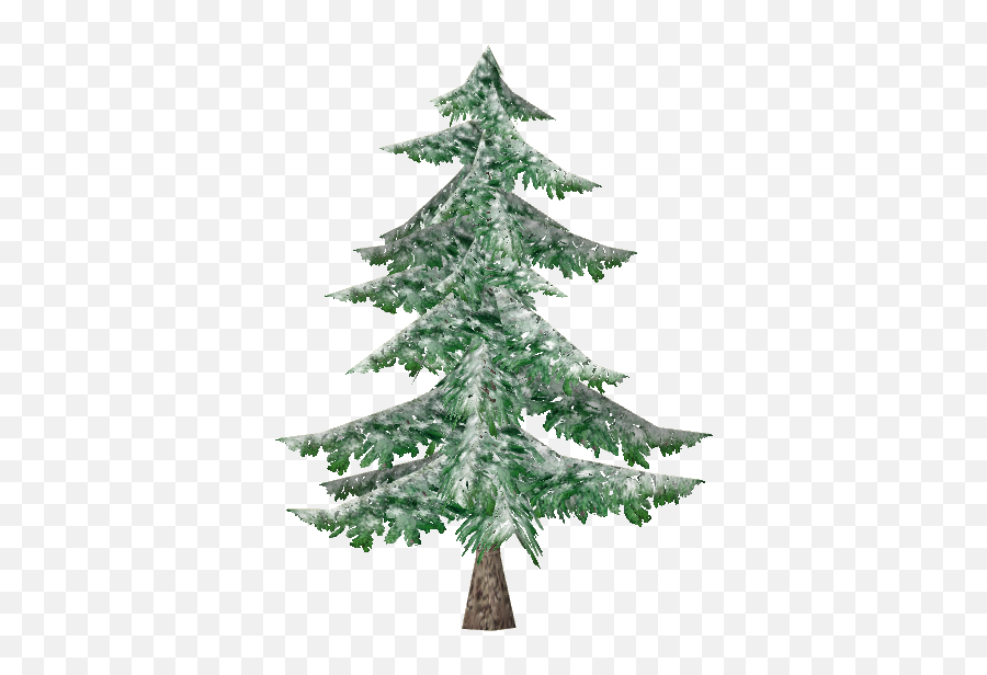 Snowy Balsem Fir - Christmas Tree Full Size Png Download Christmas Tree,Snowy Tree Png