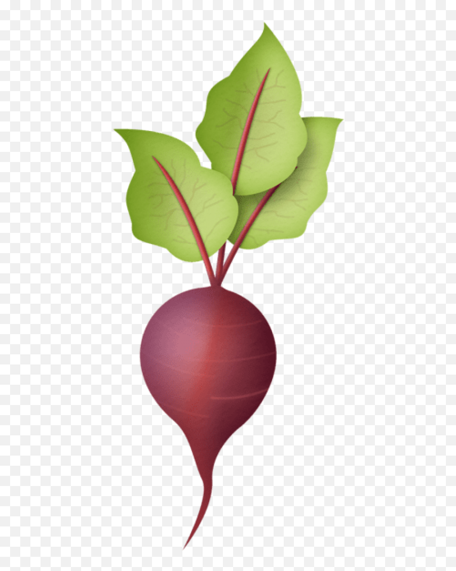 Png Images Background Clipart - Radish Clipart Png,Radish Png