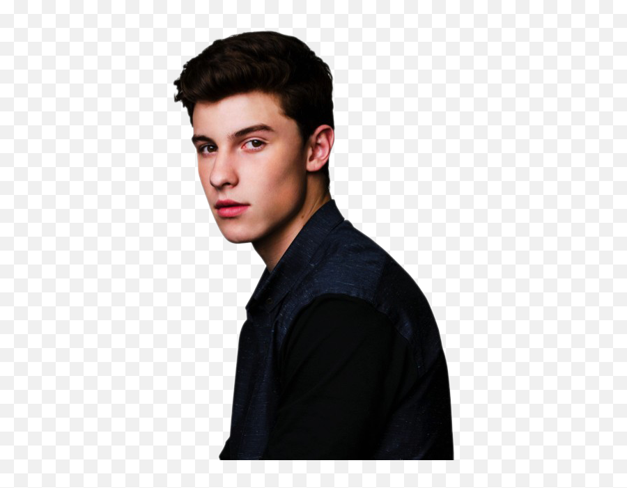 Shawn Mendes Png Image Background - Net Worth For Shawn Mendes,Shawn Mendes Png