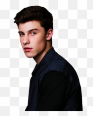 Shawn Mendes Png Image Background - Net Worth For Shawn Mendes,Shawn Mendes Png