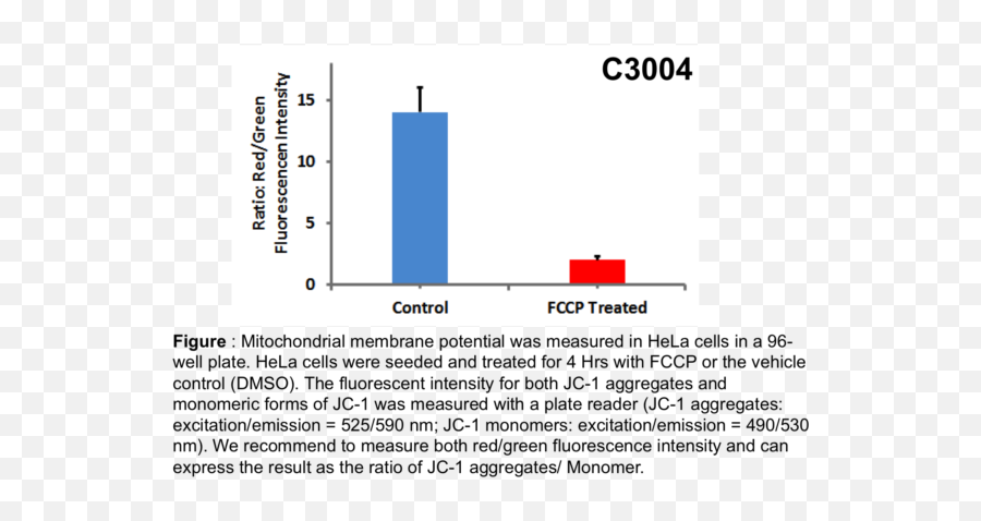 Mitochondrial Membrane Potential - Apoptosis And Mitochondrial Membrane Potential Png,Mitochondria Png