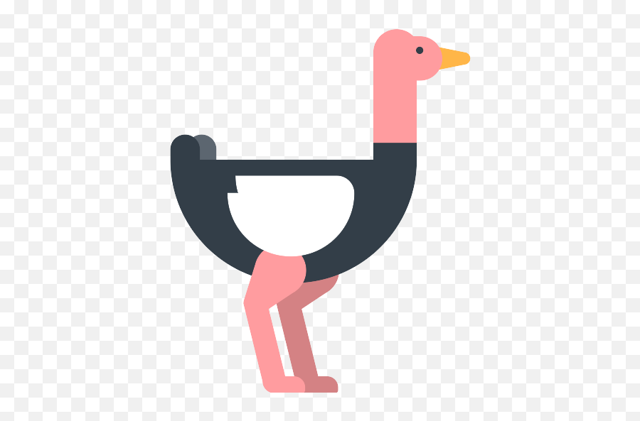 Ostrich Png Icon - Icon,Ostrich Png
