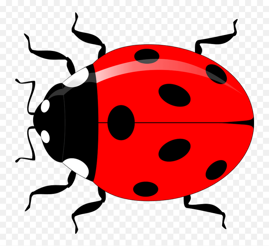 Ladybug Clipart Free Download Transparent Png Creazilla - Biedronka Kolorowanka Do Druku,Transparent Ladybug
